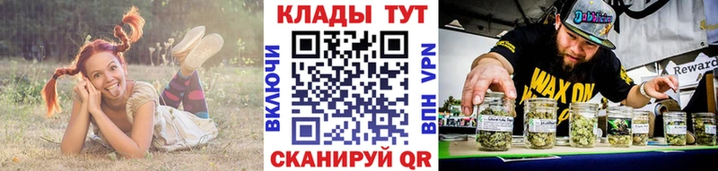 Где купить наркоту Мураши КЕТАМИН  Мефедрон  Гашиш  Каннабис  Alpha-PVP  Амфетамин 