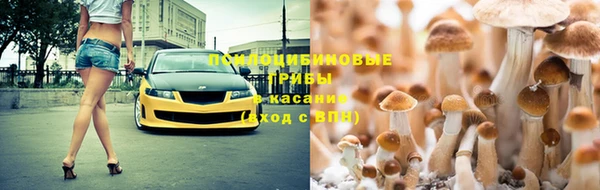 гашишное масло Аркадак