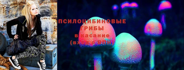 гидропоника Переславль-Залесский